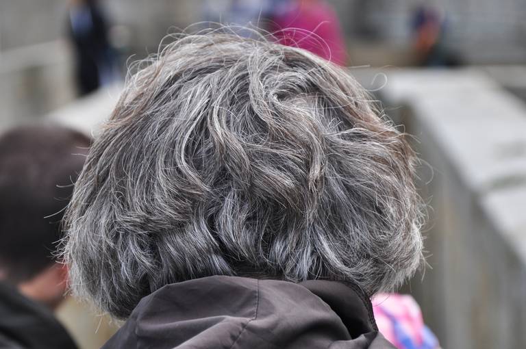 Arrière d'une tête aux cheveux poivre et sel, mélange de mèches sombres et de mèches blanches.