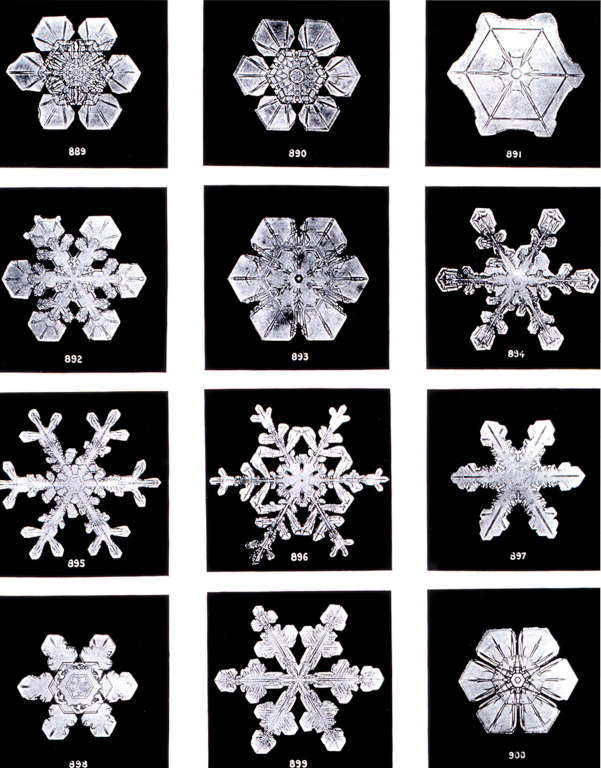 Planche de photographies de cristaux de neige réalisées par Wilson Bentley au microscope au début du XXe siècle