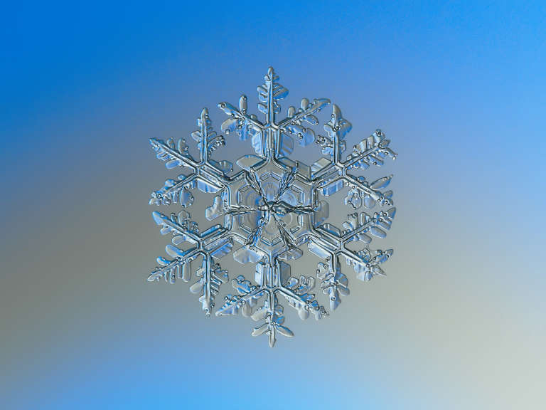 Cristal de glace photographié en macro, au coeur du débat sur l'eau et l'intention